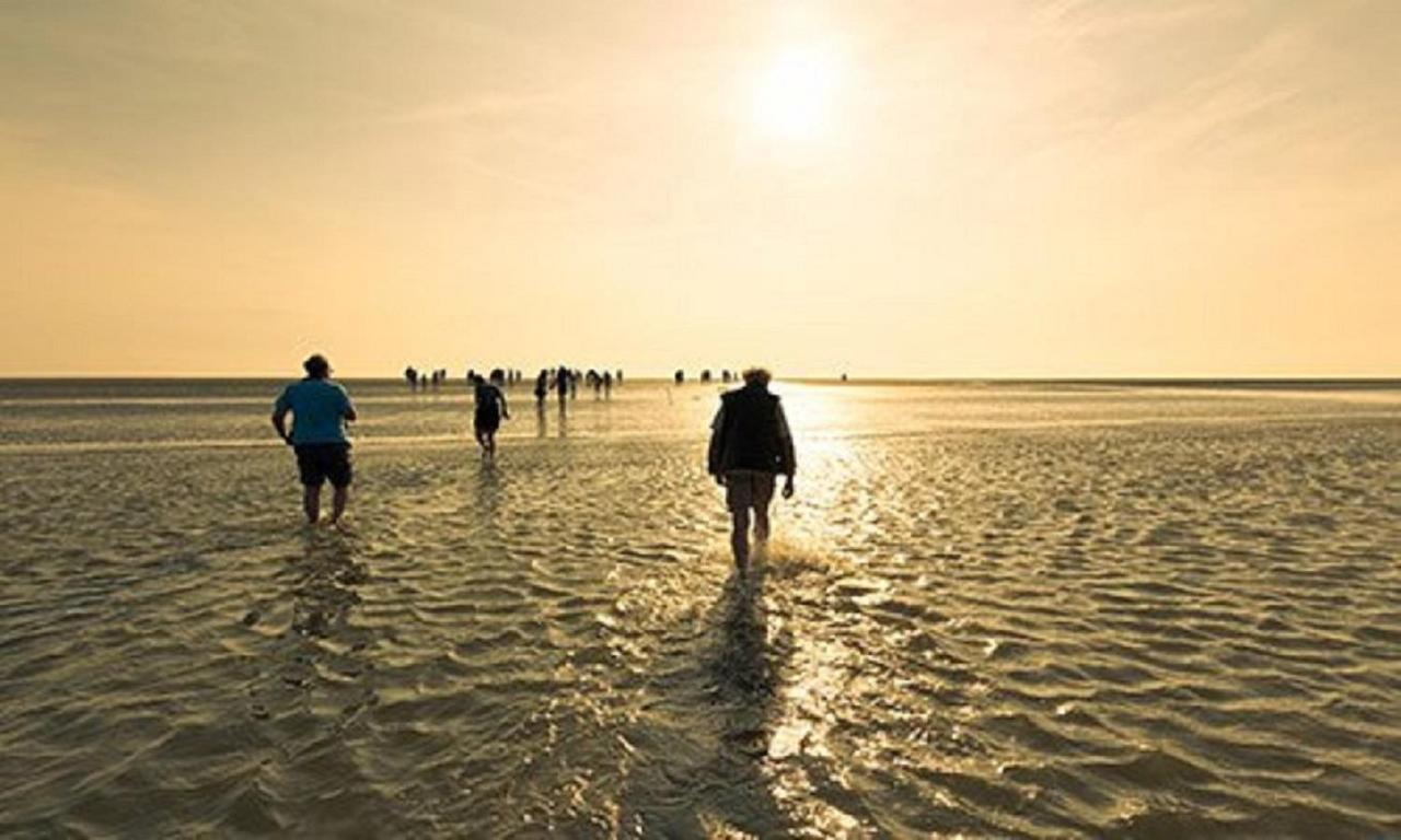 Chalet Op Camping Lauwersoog Met 3 Slaapkamers En Vaatwasser - Joycasa Exteriör bild